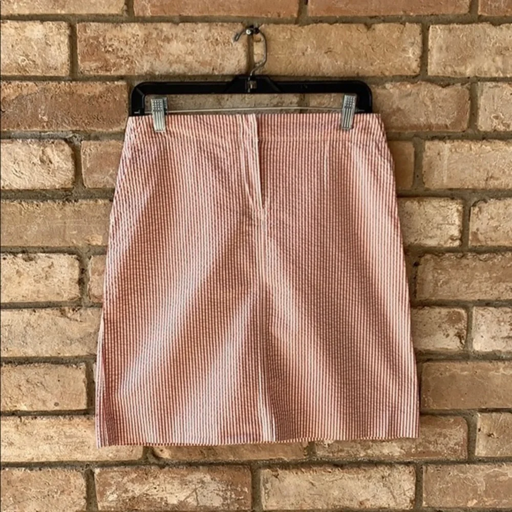 J. Crew Candy Stripe Skirt